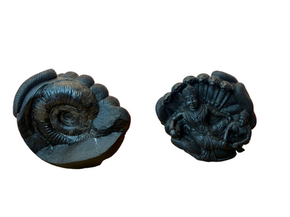 Shaligrama Made Lakshminarayana Swamy with Aadishesha