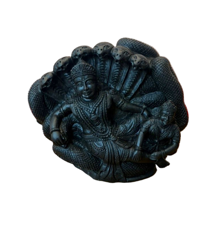 Shaligrama Made Lakshminarayana Swamy with Aadishesha