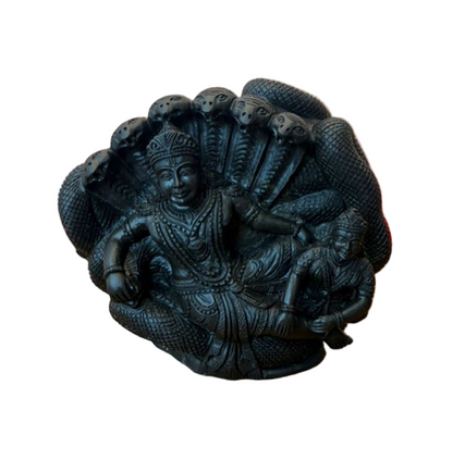 Shaligrama Made Lakshminarayana Swamy with Aadishesha