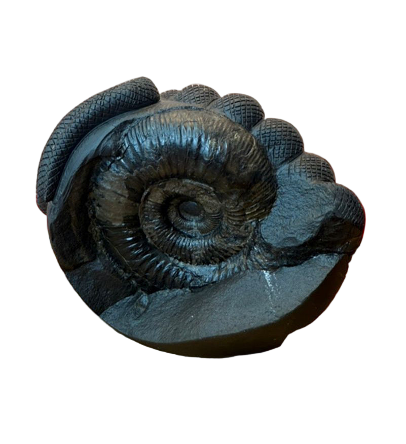 Shaligrama Made Lakshminarayana Swamy with Aadishesha