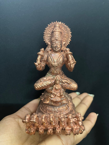 Lord Surya Narayana Bhagwan idol