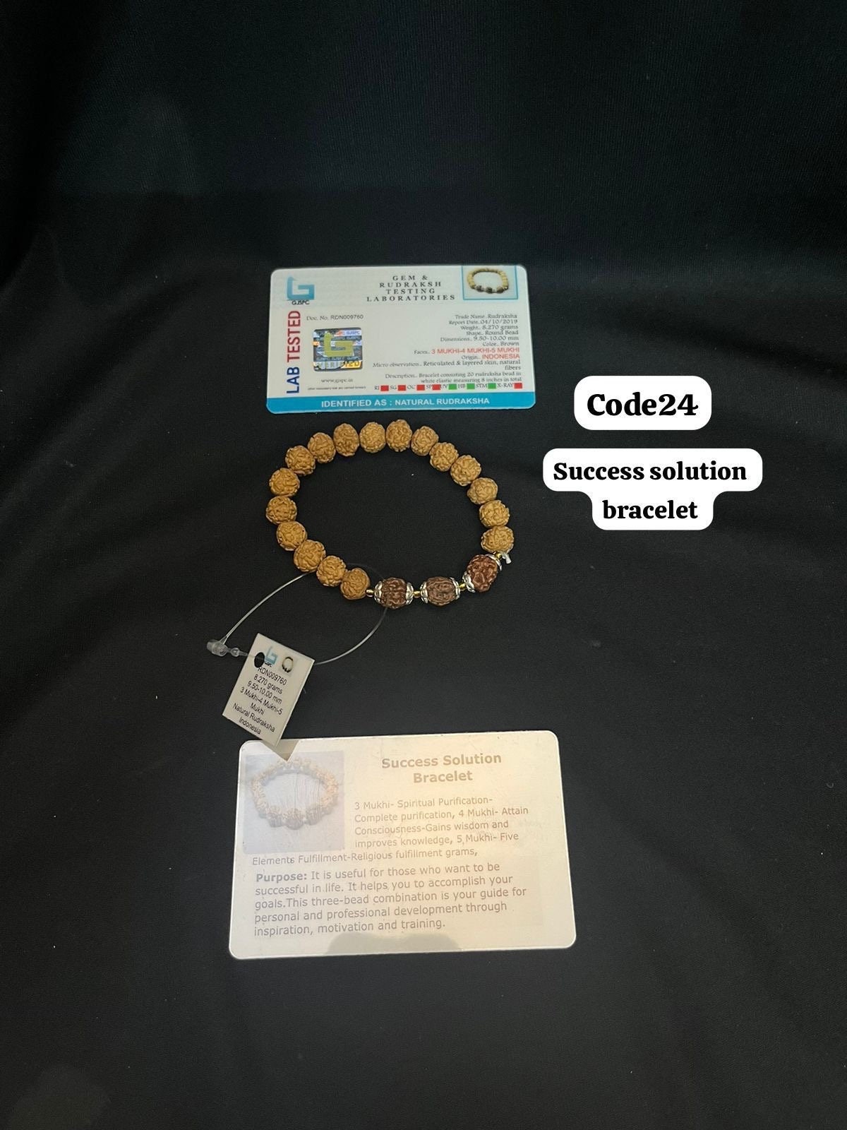 Energised Success oriented Rudraksha mani bracelet